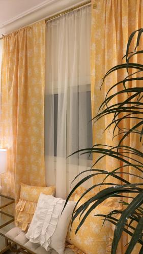 البكج الاقتصادي