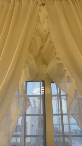 ستارة فوشيا السكري