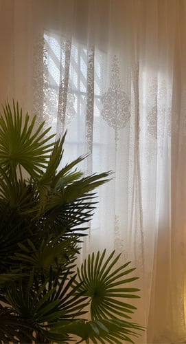 ستاره دانتيل سكري