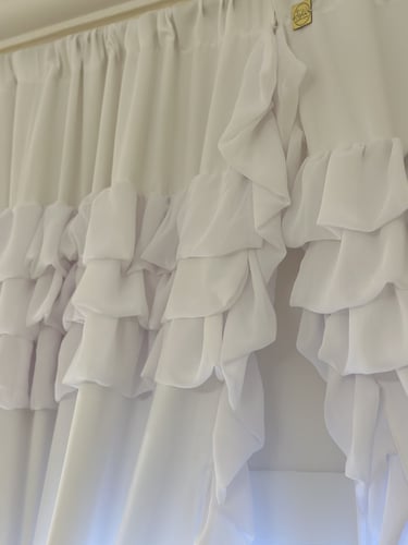 ستارة فوشيا الأبيض