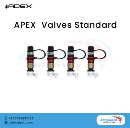 APEX VALVE STANDARD