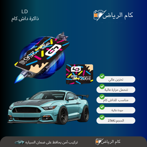 ذاكرة داش كام 256GB