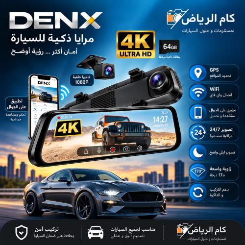 Mirror camera DENX