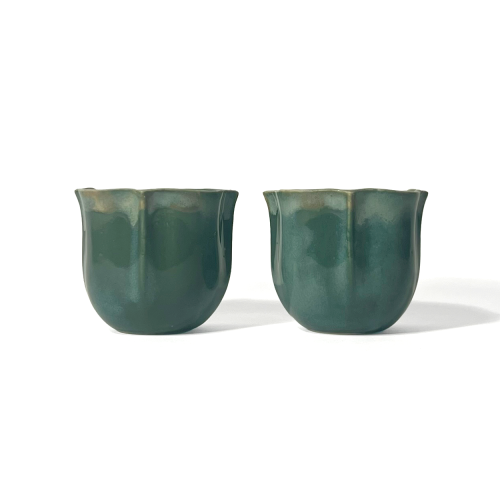 فنجانين كاميلا