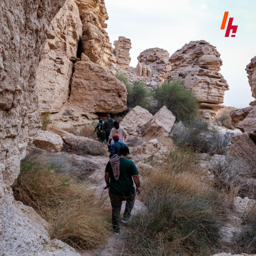 رحلة المتاهة