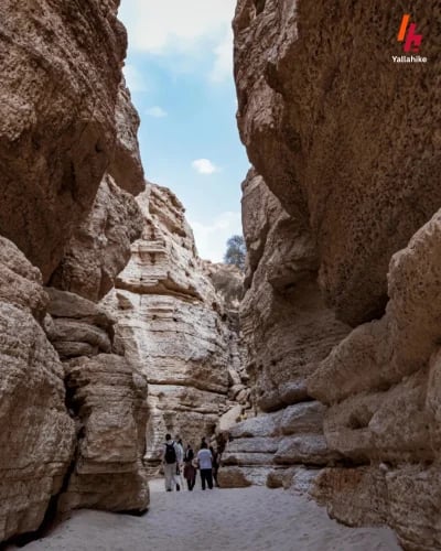 رحلة طبيعية الى فالق الثمامة