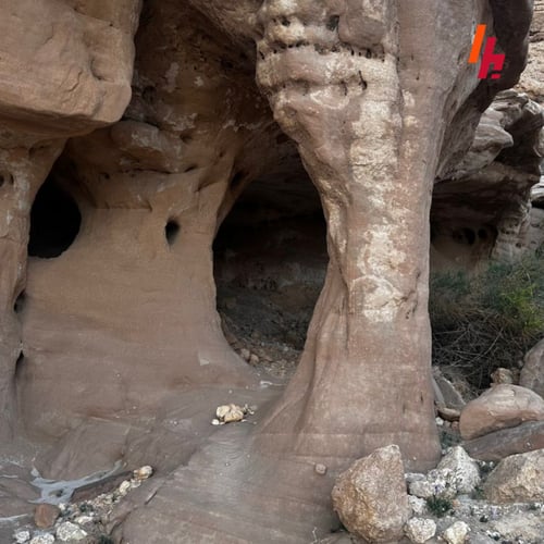 رحلة المتاهة