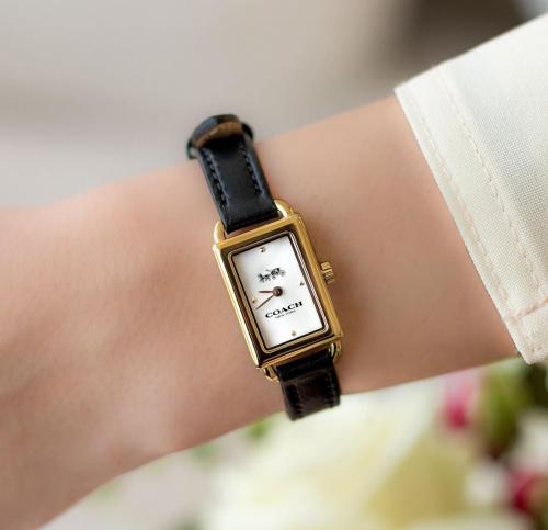 Coach Watch