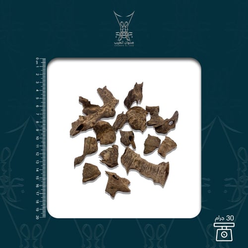 عود فلبيني تربل واندر ووتر