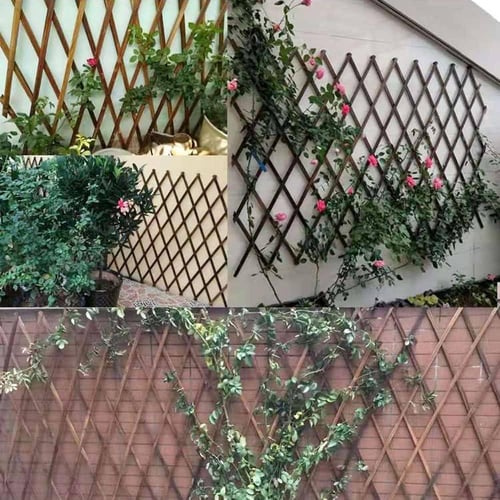 سياج خشبي للنباتات 300*100 سم