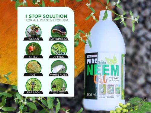 زيت النيم خام بيور 500 مل