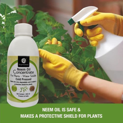 زيت النيم خام اورجانك 200 مل