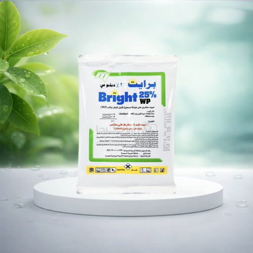 مبيد حشري برايت 100 جم