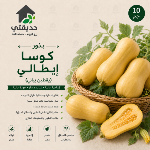 بذور كوسا ايطالي (يقطين يباني)