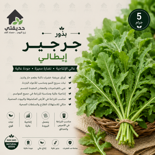 بذور جرجير ايطالي