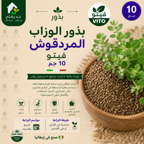 بذور الوزاب المردقوش