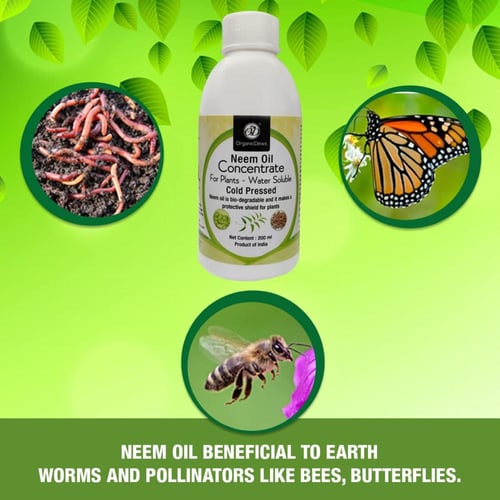 زيت النيم خام اورجانك 200 مل