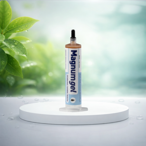 ماجنم جل اسباني