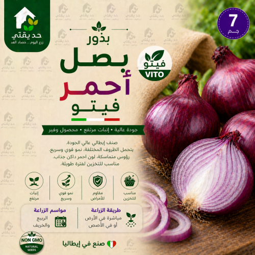بذور بصل احمر 7 جم فيتو