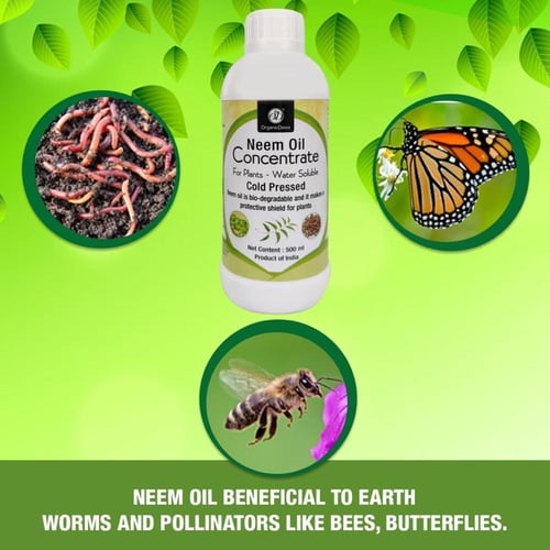 زيت النيم خام اورجانك 500 مل