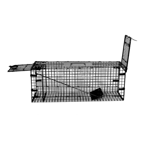 مصيدة للقطط وسط-عالية الجودة