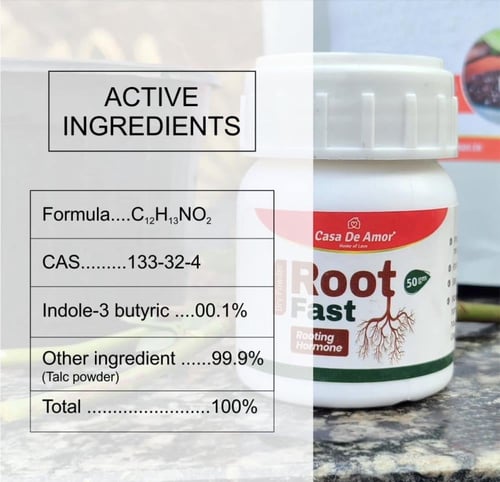 هرمون تجذير كاسا 100 جم