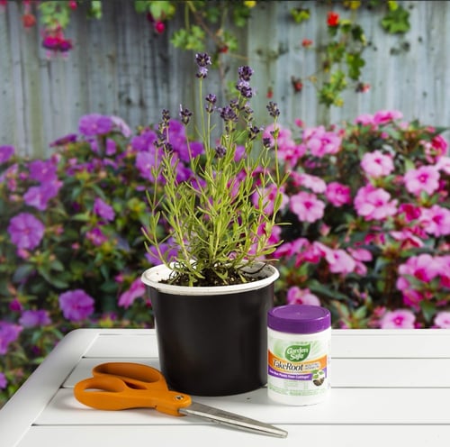 هرمون التجذير جاردن سيف