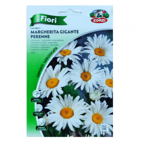 بذور اللؤلؤية ايطالي