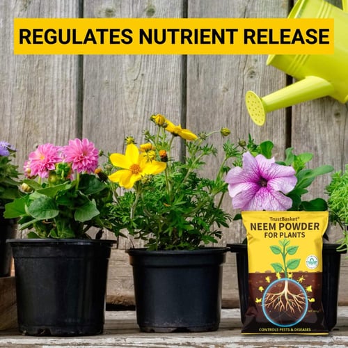 بودرة النيم 450 جرام