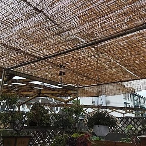 سياج الخيزران الطبيعي