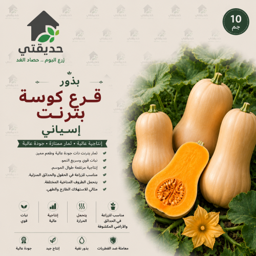 بذور قرع كوسه بترنت باكت 10 غم - اسباني