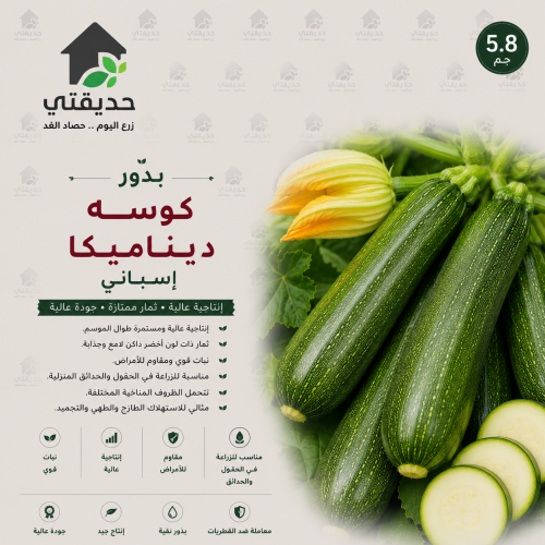 بذور كوسه ديناميكا باكت 5.8 غم - اسباني