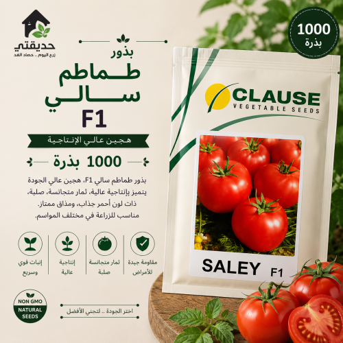 بذور طماطم سالي 1000 بذرة