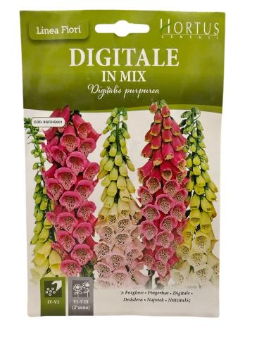 بذور القمعية الارجوانية