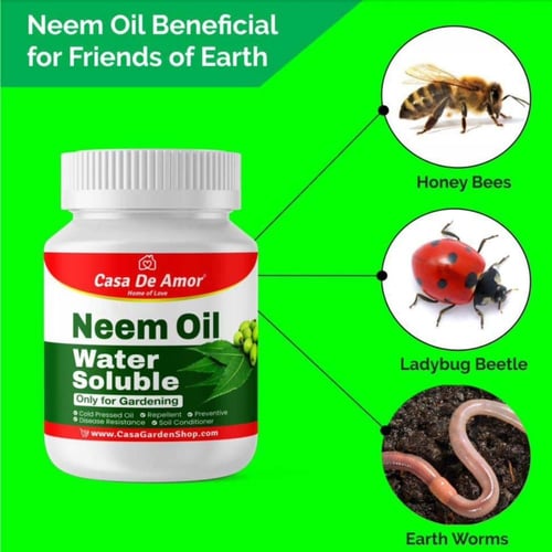 زيت النيم الخام كاسا 100 مل