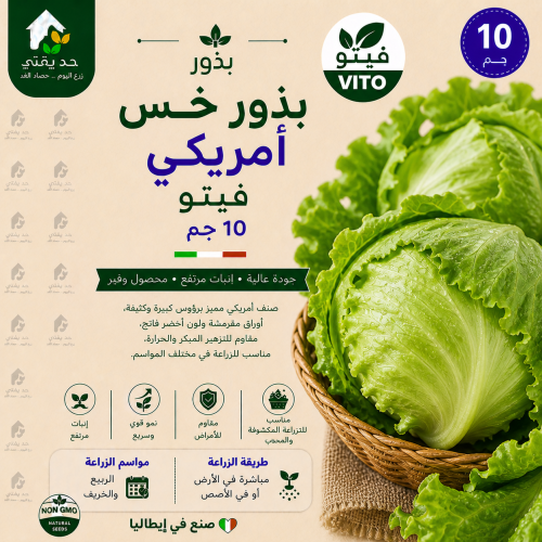 بذور خس امريكي