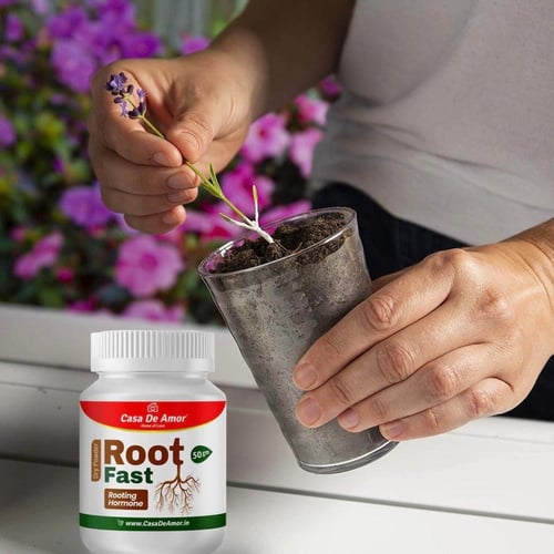 هرمون تجذير كاسا 100 جم