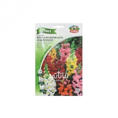 بذور انف العجل