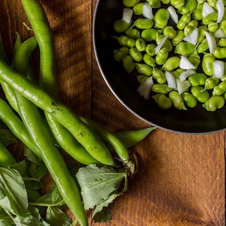 بذور فول تركي