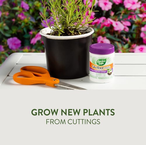 هرمون التجذير جاردن سيف