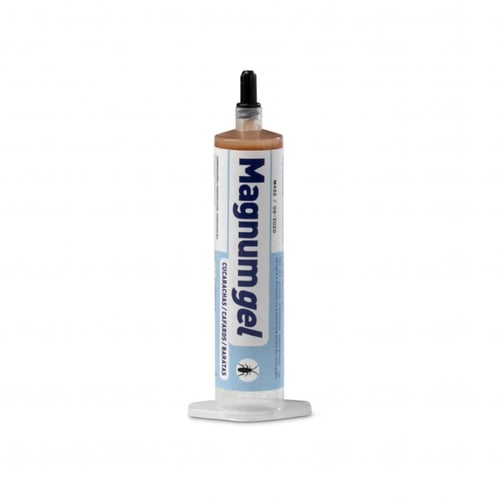 ماجنم جل اسباني