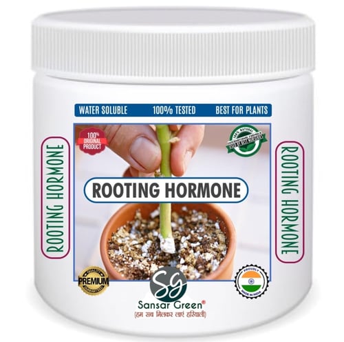 هرمون التجذير 100 جم