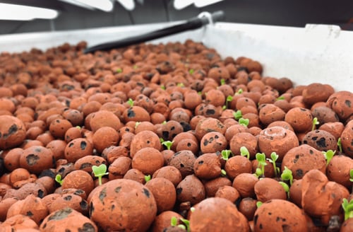 كرات طينية ديكور هيدروتون 1 كجم