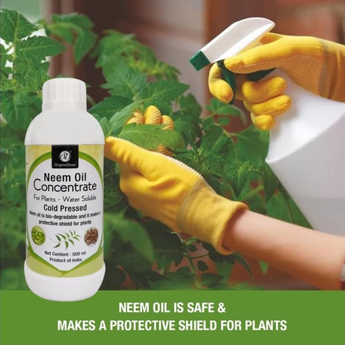 زيت النيم خام اورجانك 500 مل