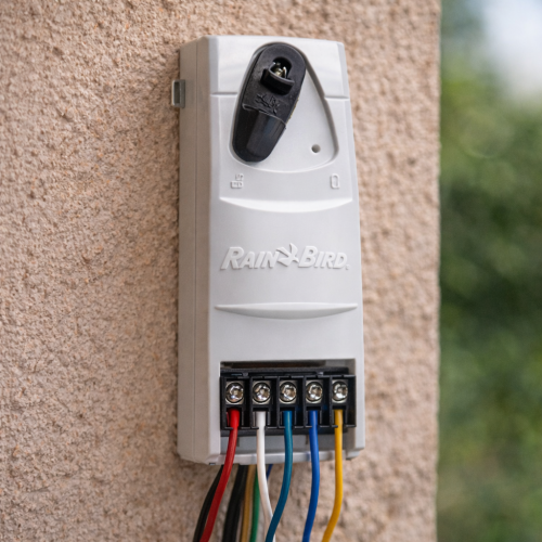 رين بيرد توسعة ٦ خطوط