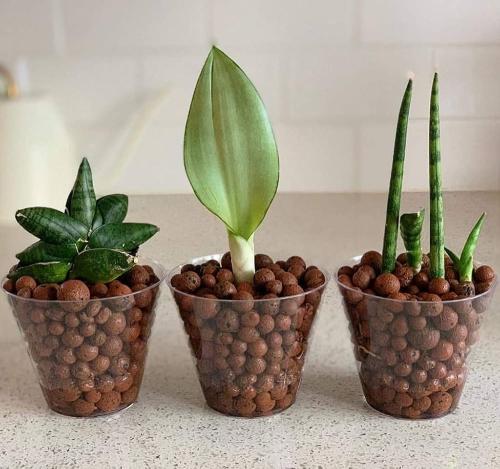 كرات طينية ديكور هيدروتون 1 كجم