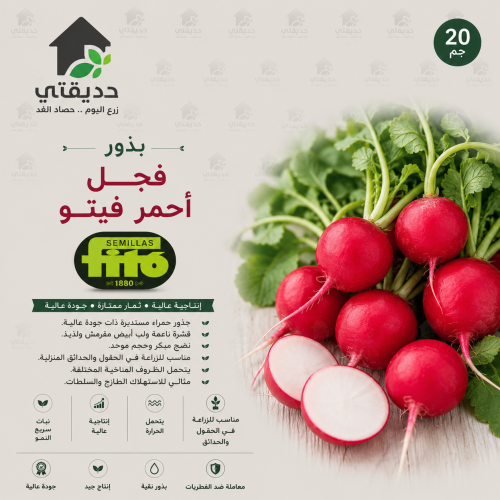 بذور فجل أحمر فيتو 20 جم