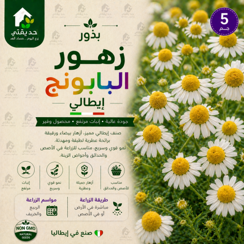 بذور زهور البابونج