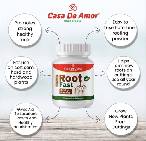 هرمون تجذير كاسا 100 جم