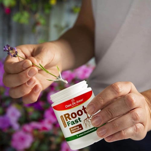 هرمون تجذير كاسا 100 جم